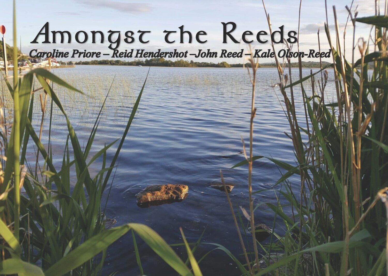 Amongst the Reeds